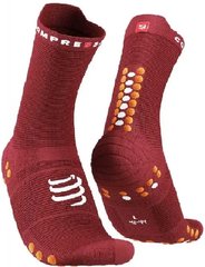 Шкарпетки Compressport Pro Racing Socks V4.0 Run High, Spd Apple/Dk Cheddar, T1 (XU00046B 309 0T1) XU00046B 309 0T1 фото