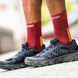 Шкарпетки Compressport Pro Racing Socks V4.0 Run High, Spd Apple/Dk Cheddar, T1 (XU00046B 309 0T1) XU00046B 309 0T1 фото 2