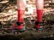 Шкарпетки Compressport Mid Compression Socks 2020 FW, Black/Red, T2 (XU00005B 906 0T2) XU00005B 906 0T2 фото 4