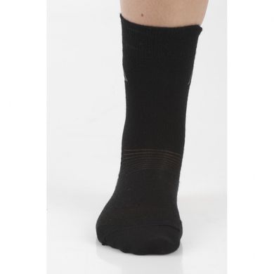Термошкарпетки дитячі Aclima Liner Socks 32-35 356053001-26 фото