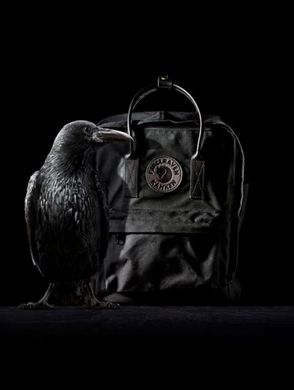 Рюкзак FJALLRAVEN Kanken No.2 Laptop 15 Black (23568.550) 23568.550 фото