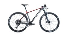 Велосипед CYCLONE 29" PRO 1 carbon 17” сіро червоний (22-018) 22-018 фото