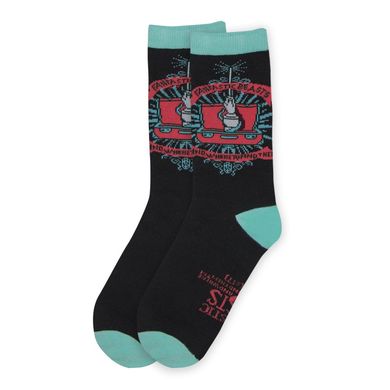 Шкарпетки Fantastic Beasts Newt Scamander Socks Set of 3 Мультиколор Уні 36-40 4895205600935 фото