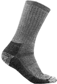 Термошкарпетки Aclima HotWool Socks 36-39 356033052-27 фото