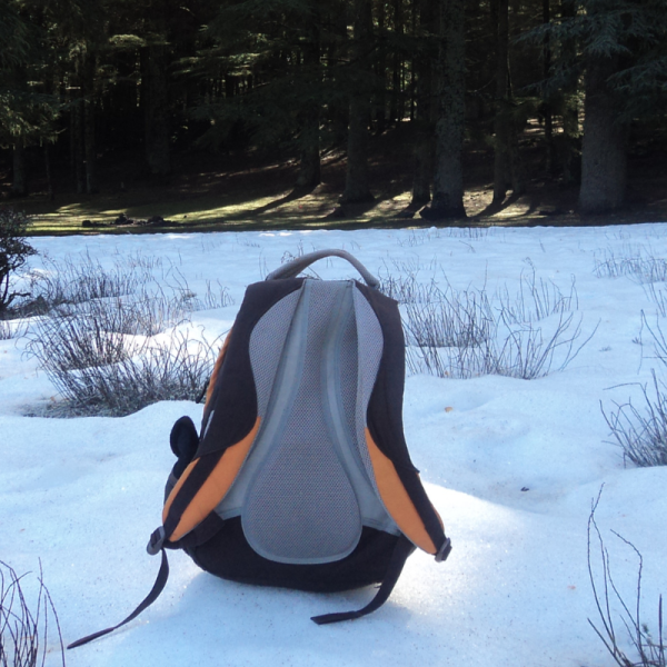 Міський рюкзак для зимових умов: як обрати ідеальний захист для ваших речей 