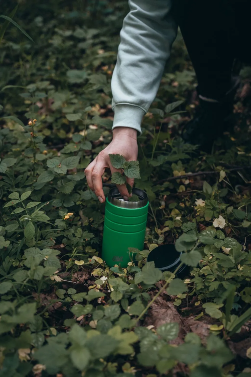 Термос для їжі Esbit FJS550TL-AG (017.0281)