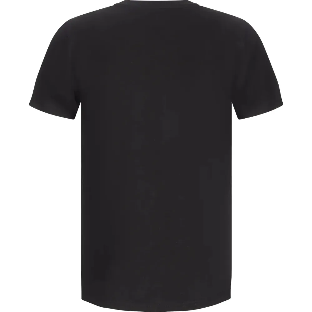 Футболка 2117 Apelviken T-Shirt Mns (039.0403)