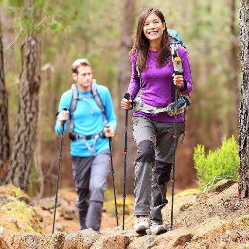 Трекінгові палиці Naturehike сині NH19DS003 (ціна за пару)