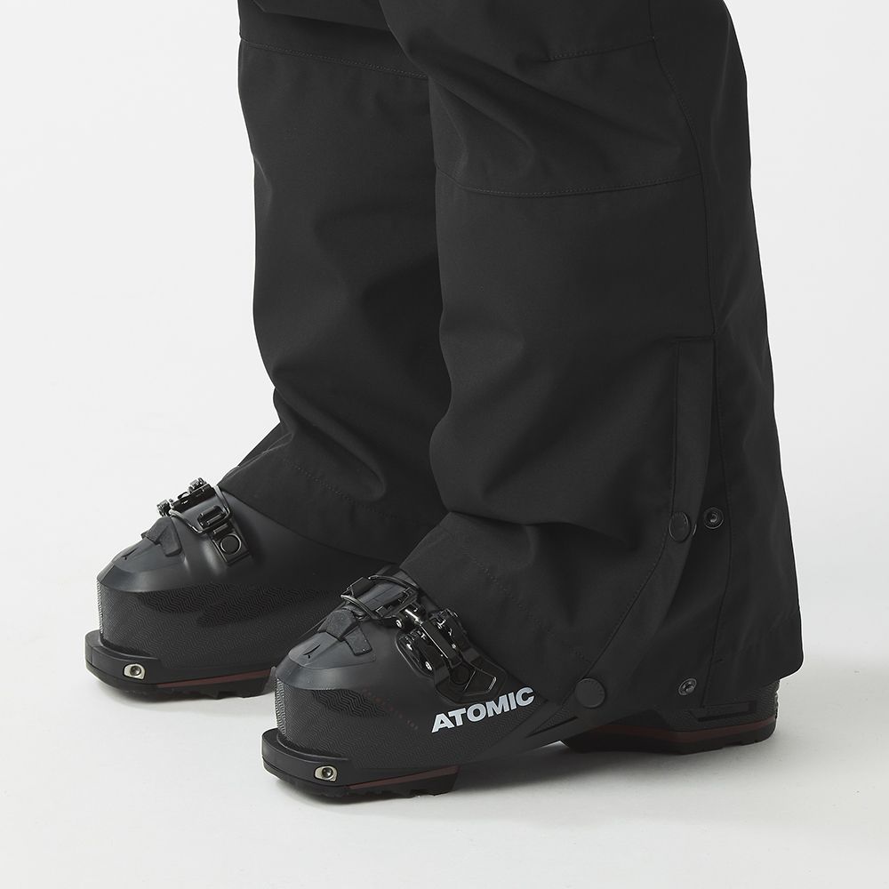 Picture Organic брюки лижні Brita Bib W 2026 black S