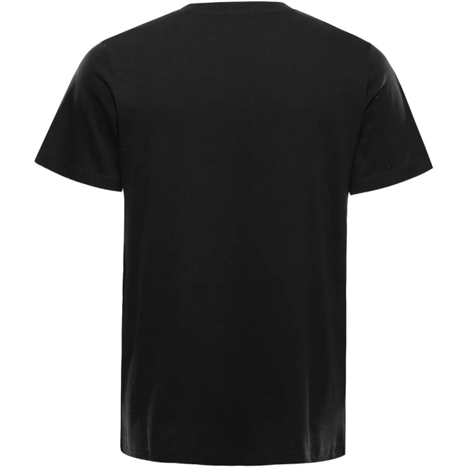 Футболка Alpine Pro Grem 2 Mns (007.022.0174)