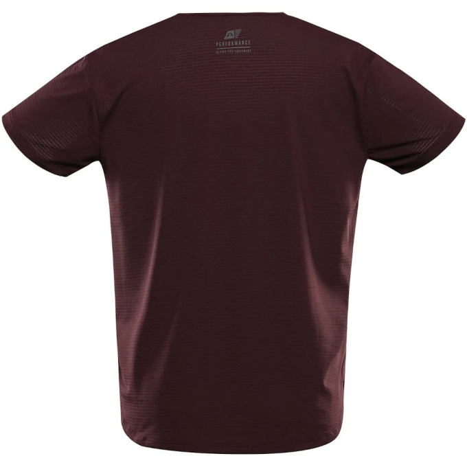 Футболка Alpine Pro Jera (007.021.0095)