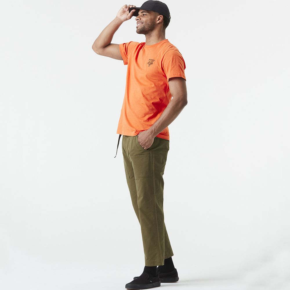 Picture Organic штани трекинговые Dazcat tobacco L