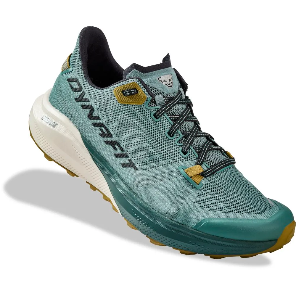 Кросівки Dynafit Trail Mns (016.001.2411)