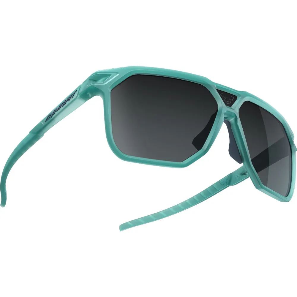 Окуляри Dynafit Traverse Sunglasses (016.003.0833)