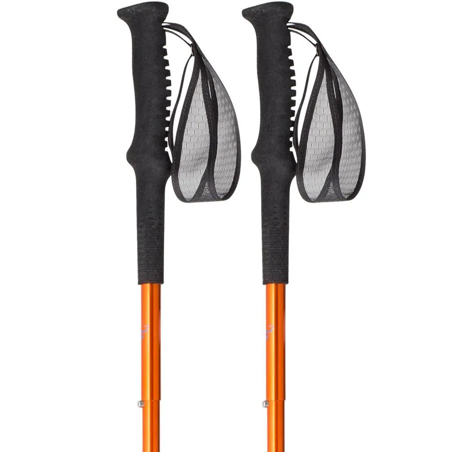 Трекінгові палиці Dynafit Vertical Pole (016.003.0081)