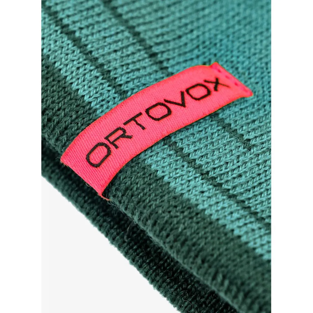 Шапка Ortovox Peak Beanie (025.001.1280)