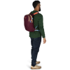 Рюкзак Osprey Daylite (009.4132)