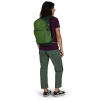 Рюкзак Osprey Daylite Plus (009.4328)