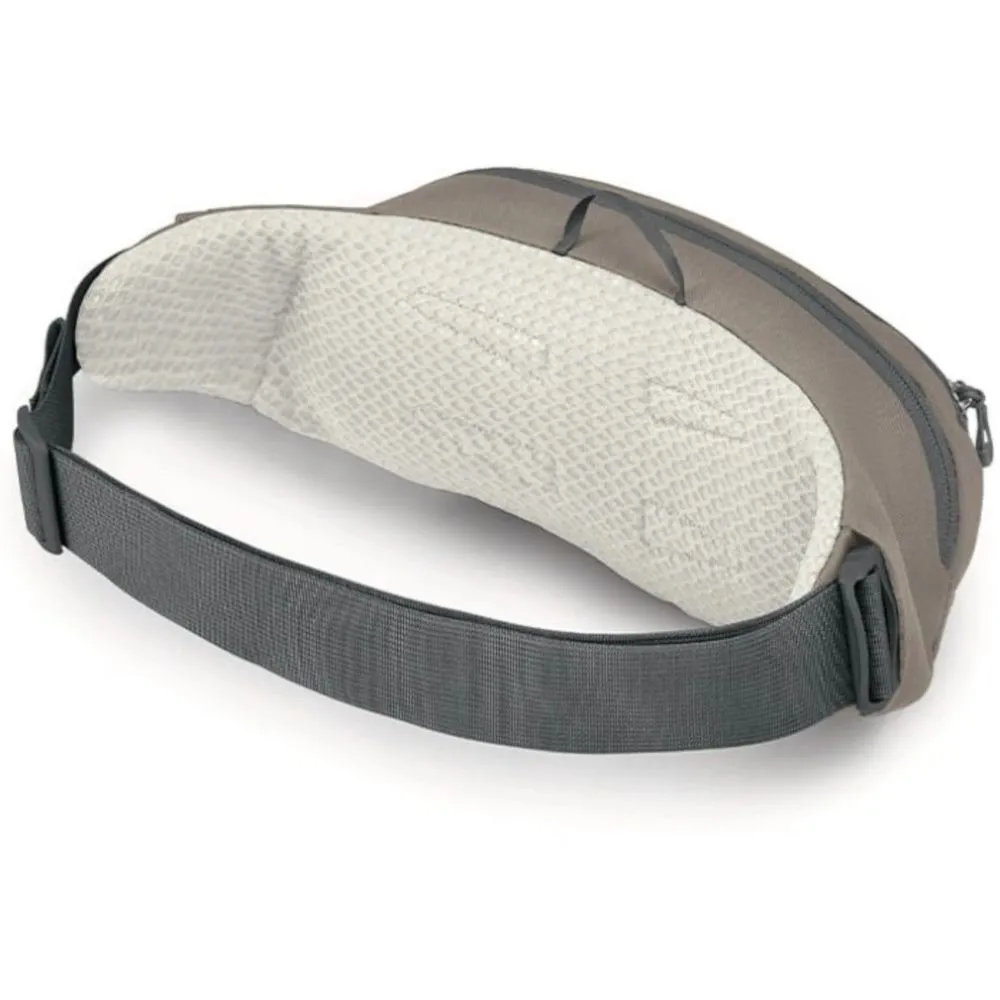 Поясна сумка Osprey Daylite Waist (009.4340)