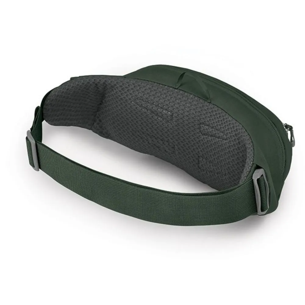 Поясна сумка Osprey Daylite Waist (009.3742)