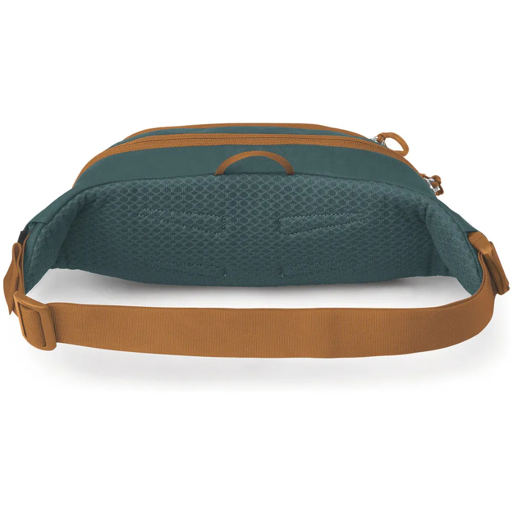 Поясна сумка Osprey Daylite Waist (009.4342)