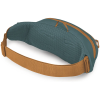 Поясна сумка Osprey Daylite Waist (009.4342)