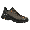 Кросівки Salewa Alp Trainer 2 GTX Mns (013.001.5979)