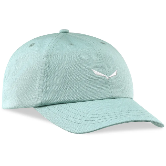 Кепка Salewa Eagle Logo Cap (013.012.1855)