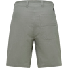 Шорти Salewa Fanes Hemp Light Shotrs Mns (013.012.1268)