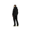 Куртка Salewa Ortles GTX 3L Epe Jkt Wmn (013.012.1881)