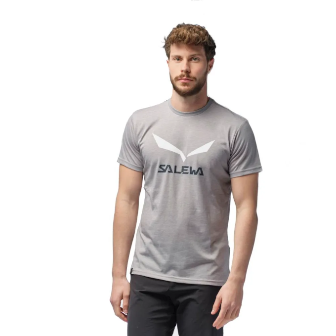 Футболка Salewa Solidlogo Dri-Release (013.012.1633)