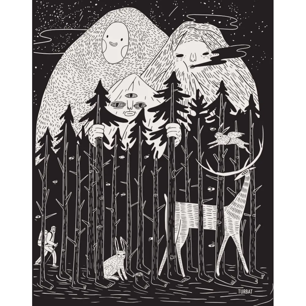 Футболка Turbat Mystery Mns (012.004.5105)